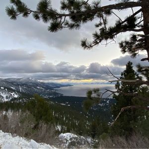 Meet your Posher, Trevor